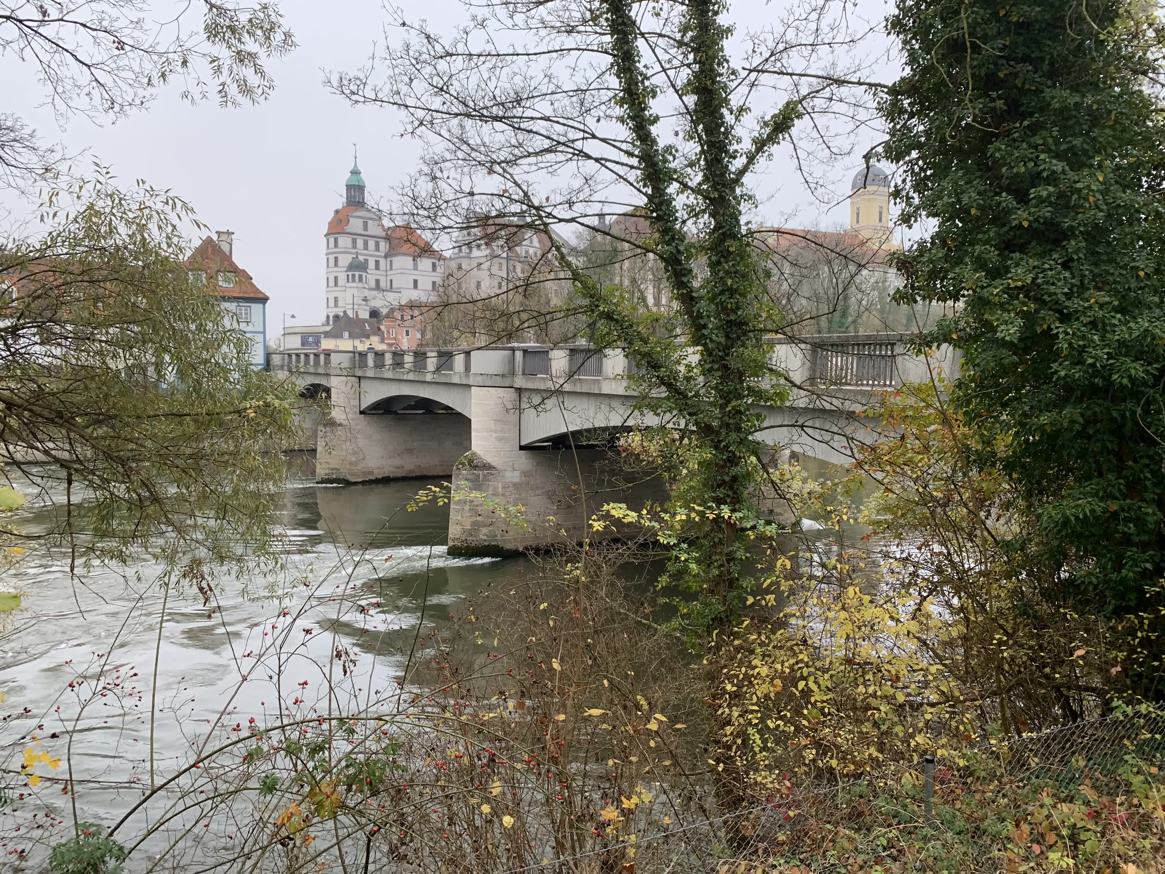2019-11-11-08.36.41-1.jpg