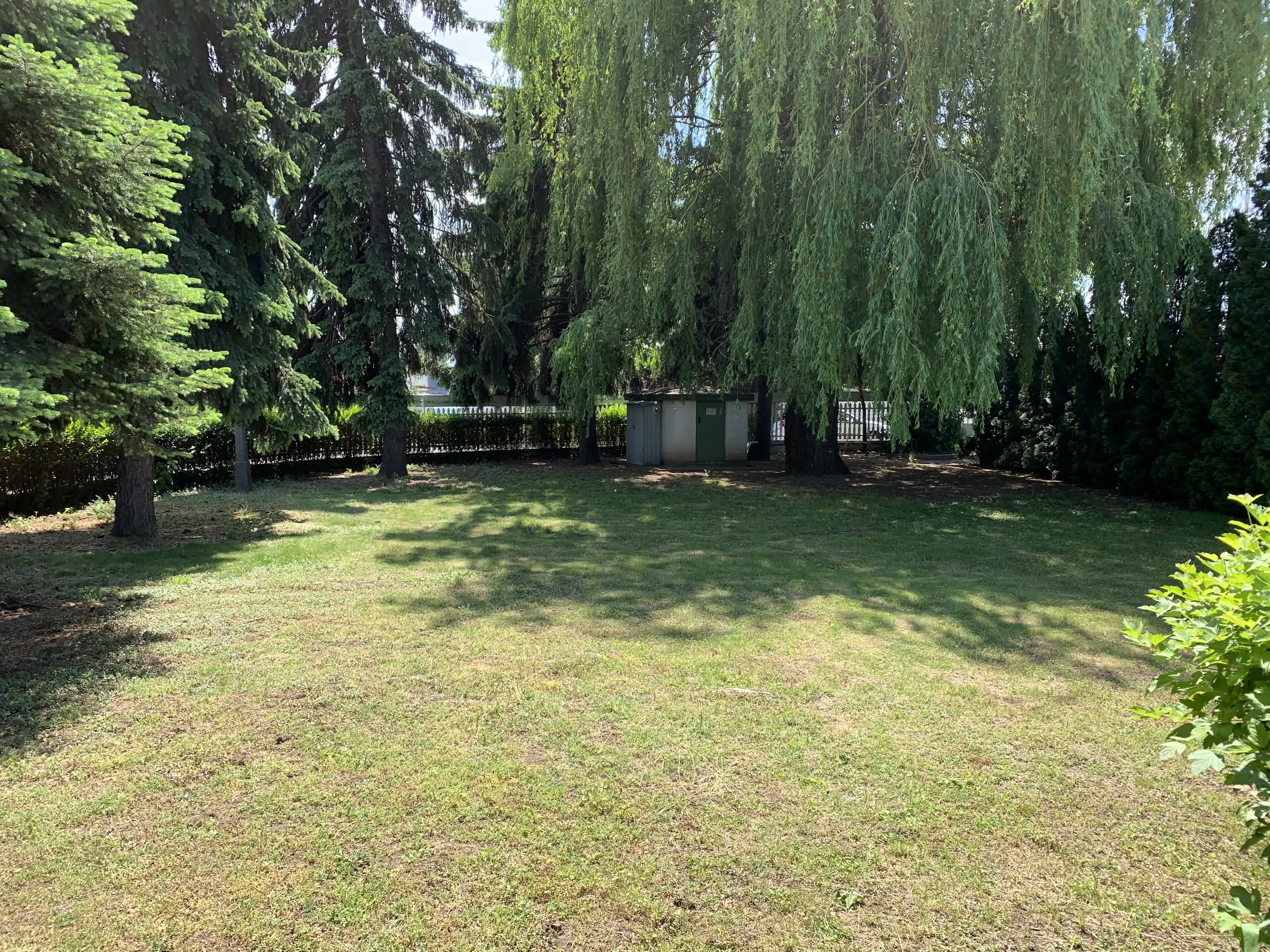 2020-05-28-12.35.26-2.jpg